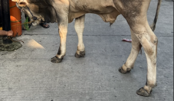 Selamat Hari Raya Idul Adha 1445 H